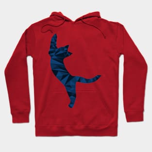 Cat-Abstract Triangle Hoodie